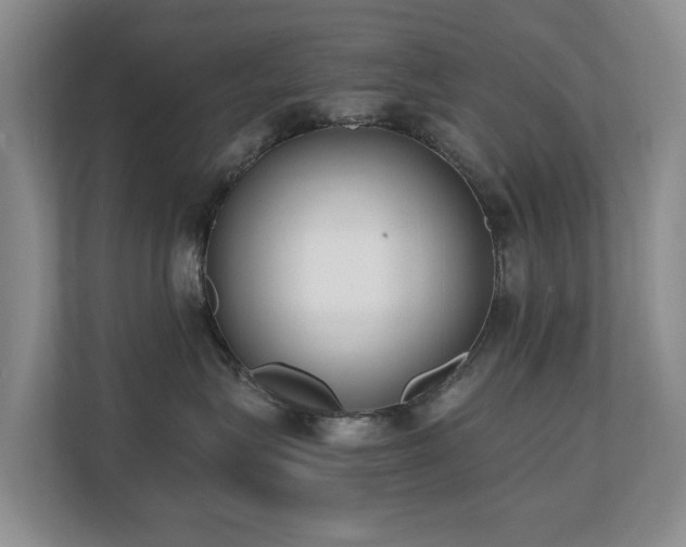 X0000110690575200906121228