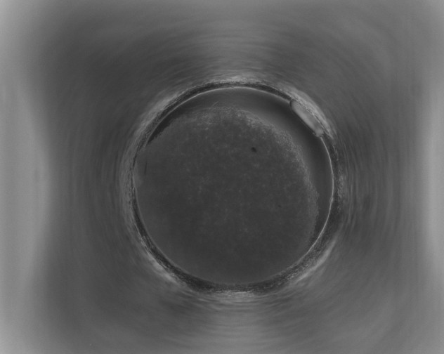 X0000110690577200906121228