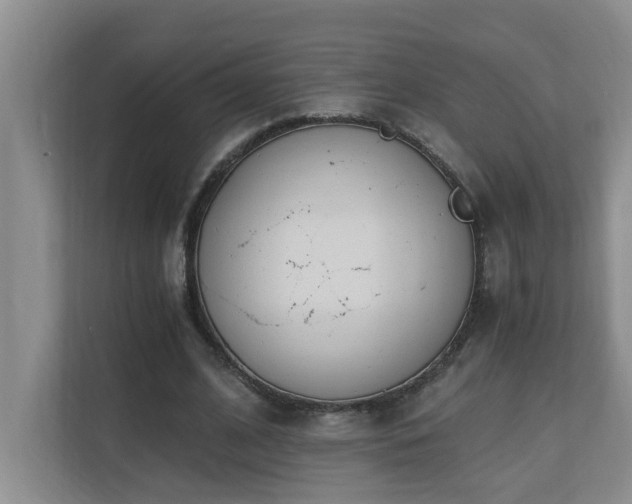 X0000110690584200906121228