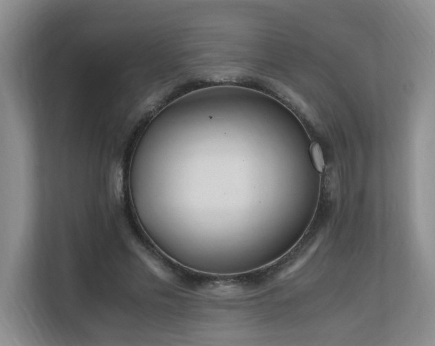 X0000110690589200906121227