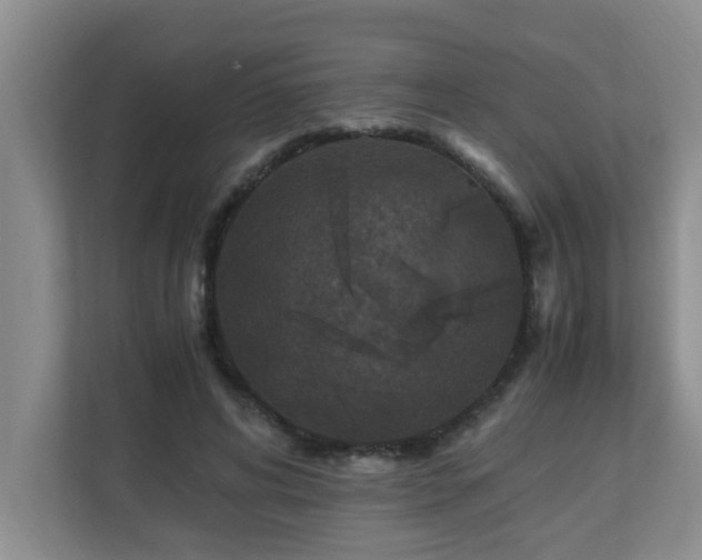 X0000110690592200906121227