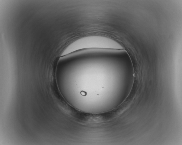 X0000110690599200906121227