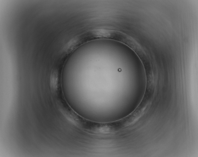 X0000110690600200906121227