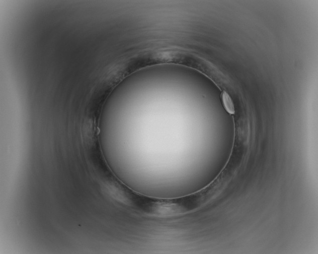 X0000110690605200906121227