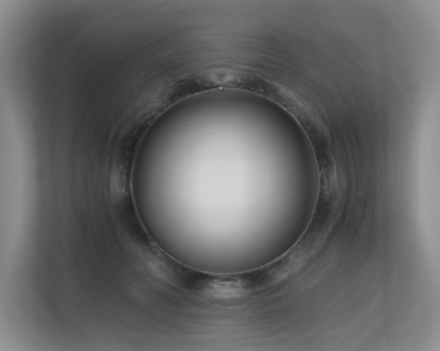 X0000110690606200906121227