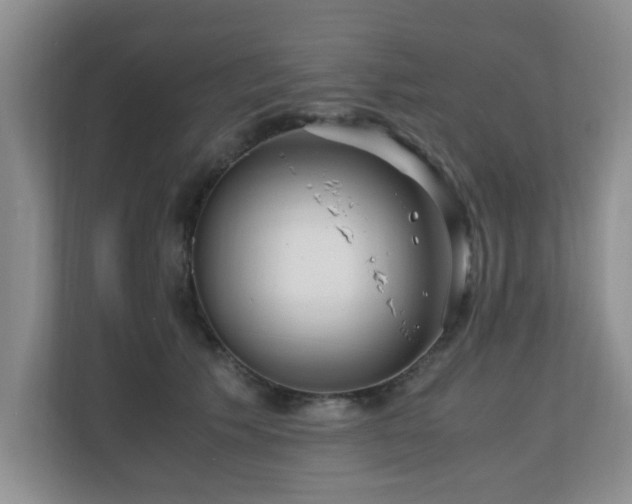 X0000110690609200906121227