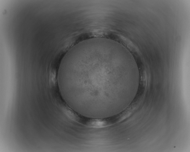 X0000110690610200906121227