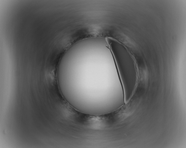 X0000110690611200906121227