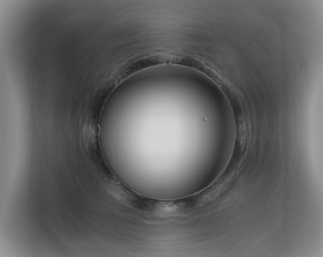 X0000110690613200906121227