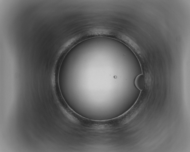 X0000110690629200906121226