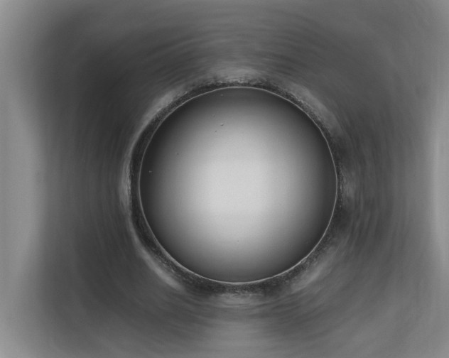 X0000110690630200906121226