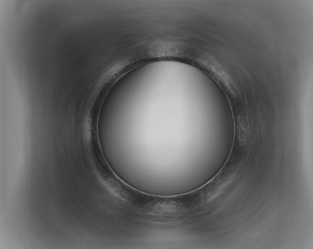 X0000110690631200906121226