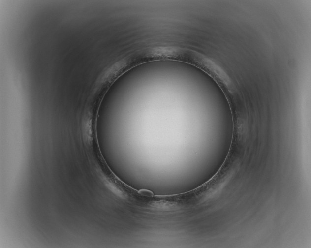 X0000110690633200906121227