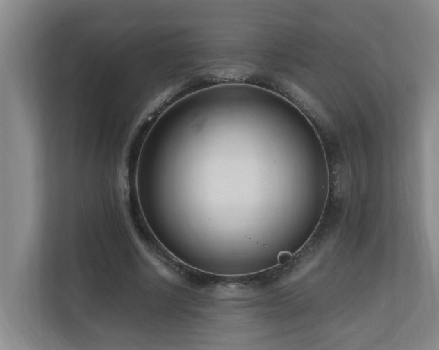 X0000110690634200906121227