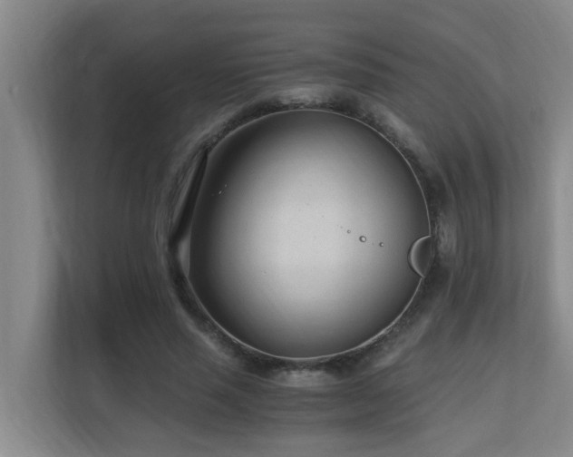 X0000110690637200906121227