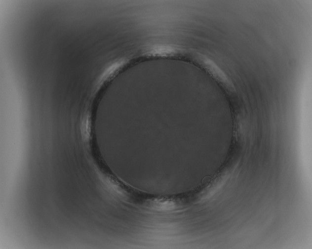 X0000110690640200906121227