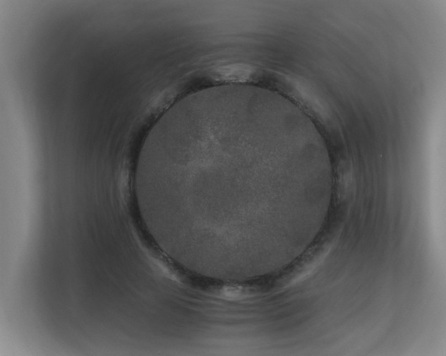 X0000110690641200906121227