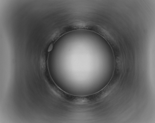 X0000110690642200906121227