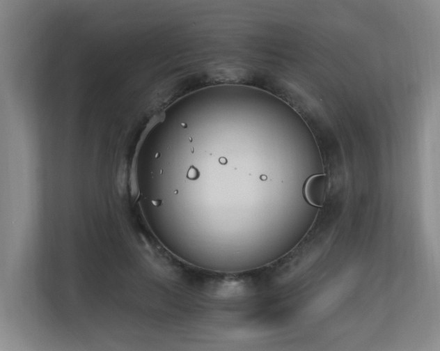 X0000110690647200906121227