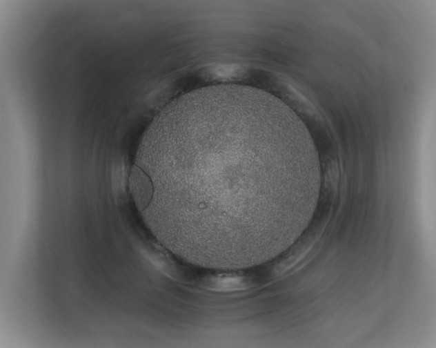 X0000110690651200906121227