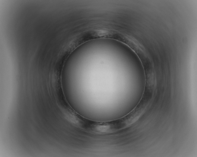 X0000110690653200906121227