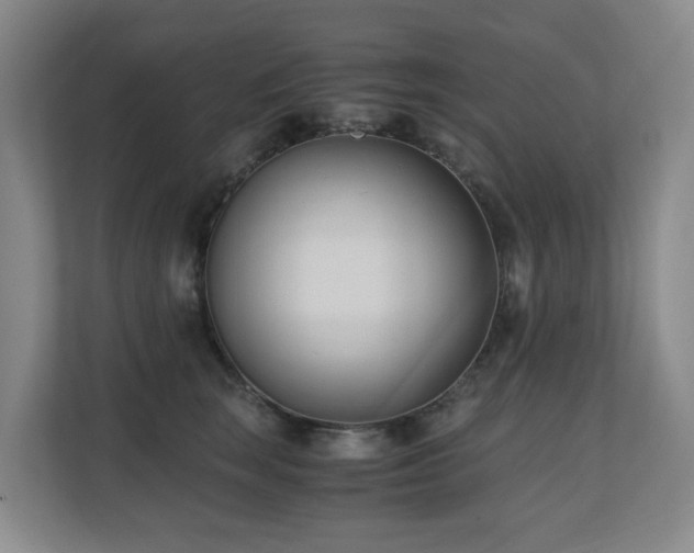 X0000110690663200906121227