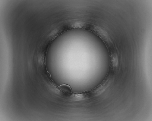 X0000110690665200906121227