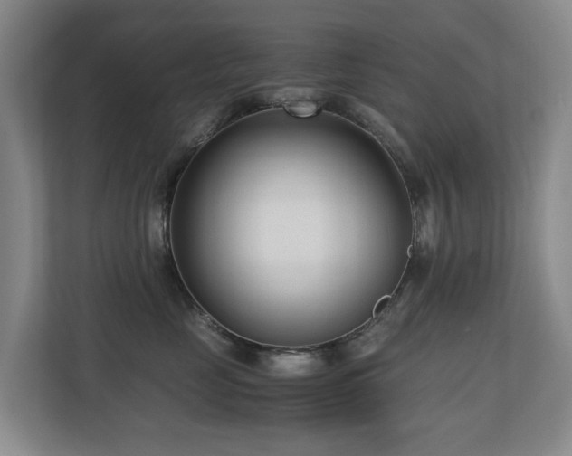 X0000110690669200906121227