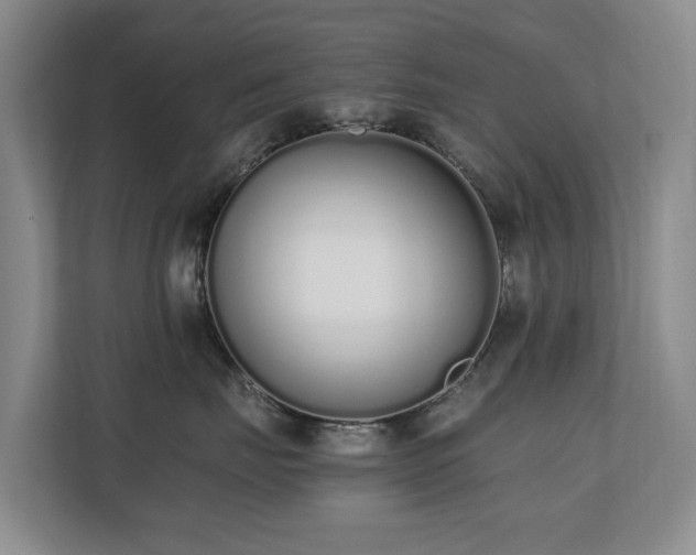 X0000110690671200906121227