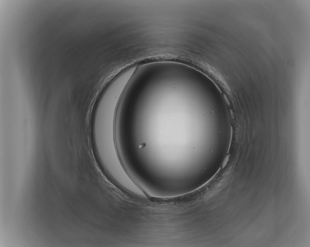 X0000110690673200906121226