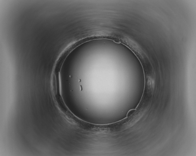 X0000110690676200906121226