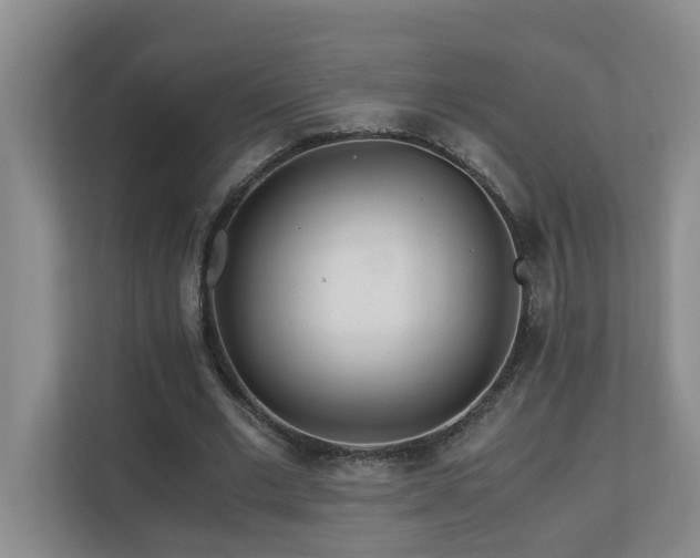 X0000110690677200906121226