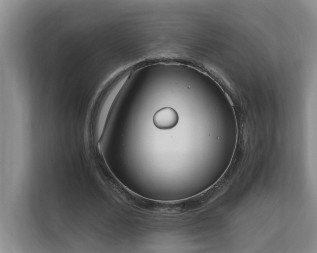 X0000110690680200906121226