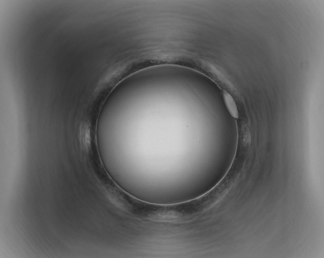 X0000110690685200906121226