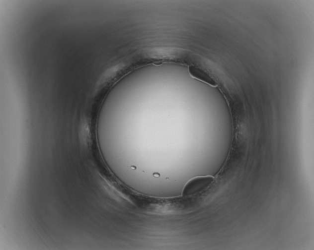 X0000110690688200906121226