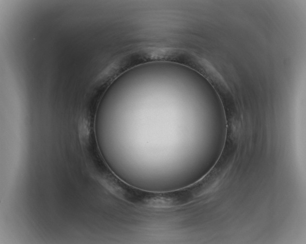 X0000110690691200906121226