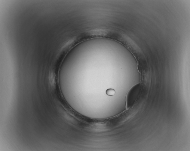 X0000110690692200906121226