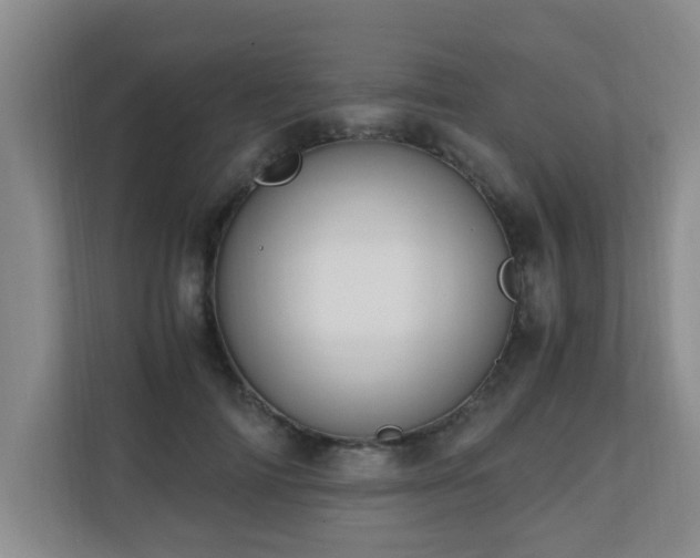 X0000110690698200906121226