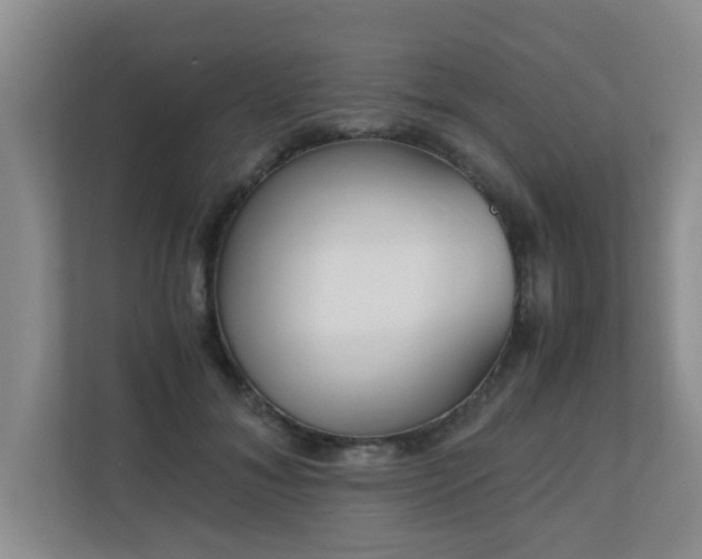 X0000110690700200906121226