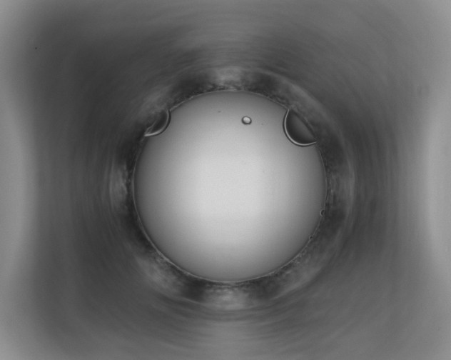 X0000110690702200906121226