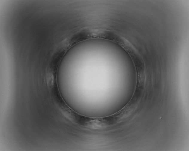 X0000110690703200906121226