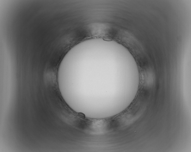 X0000110690705200906121226