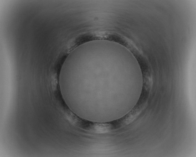 X0000110690707200906121226