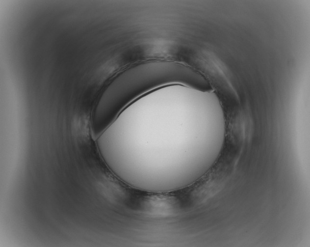 X0000110690708200906121226