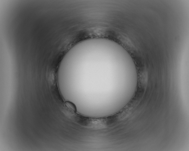 X0000110690709200906121226