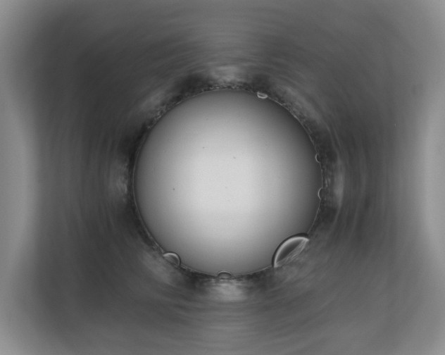 X0000110690710200906121226