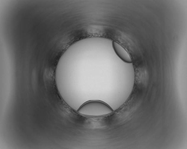 X0000110690713200906121226