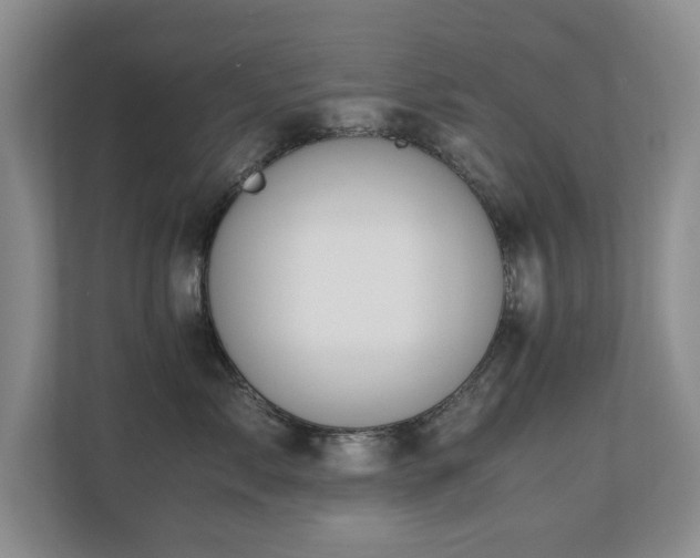 X0000110690717200906121226