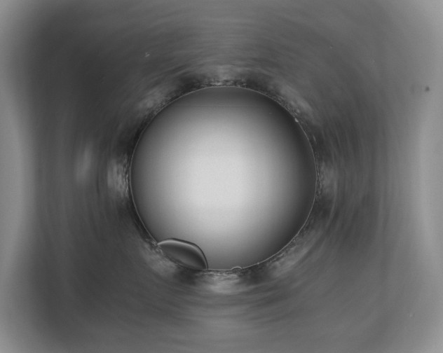 X0000110690719200906121226