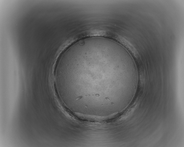 X0000110690721200906121225